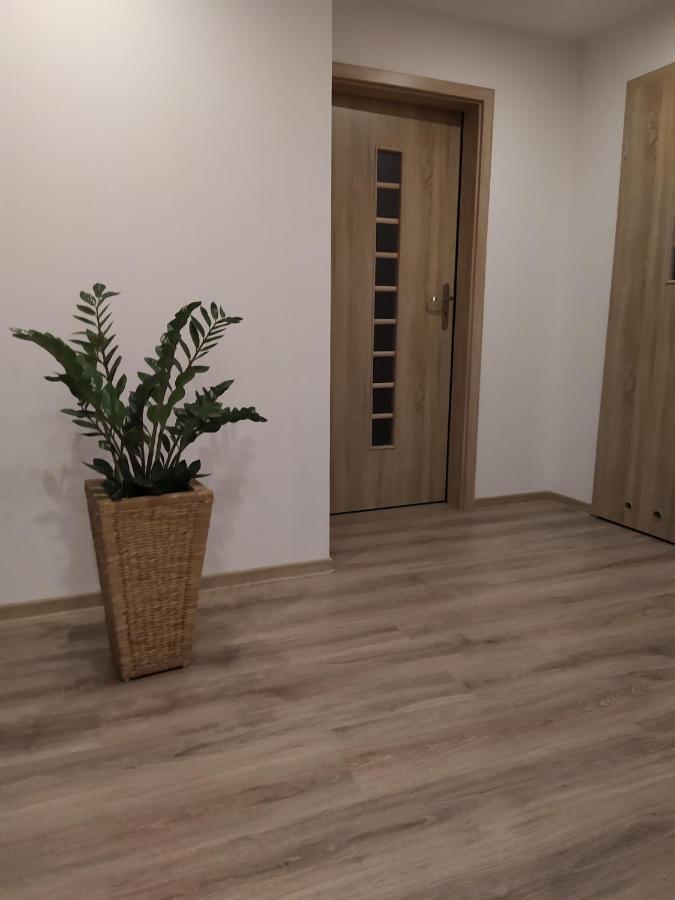 Apartament Kaola เยเลเนียกูรา ภายนอก รูปภาพ